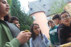 IMG_9096-1-scaled