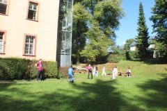 IMG_9338-scaled