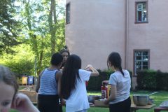 IMG_9500-scaled