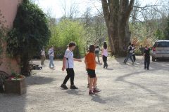 IMG_0867-scaled