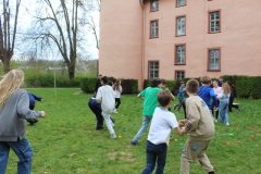 IMG_2511-scaled