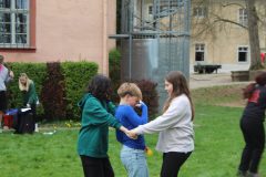 IMG_2518-scaled