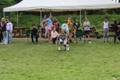 IMG_6803