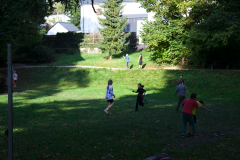 IMG_7754
